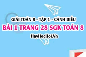 Giải bài 1 trang 28 Toán 8 Tập 1 SGK Cánh Diều
